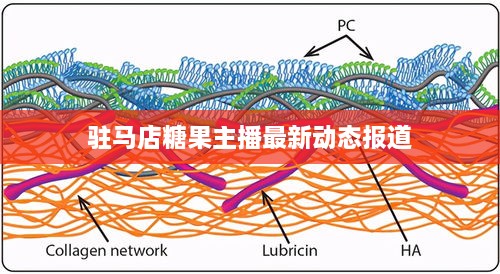 驻马店糖果主播最新动态报道