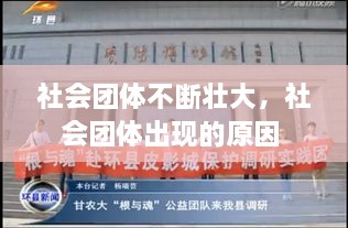 社会团体不断壮大，社会团体出现的原因 