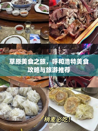 草原美食之旅，呼和浩特美食攻略与旅游推荐