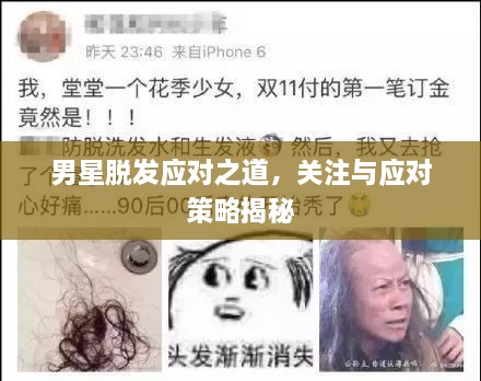 男星脱发应对之道，关注与应对策略揭秘