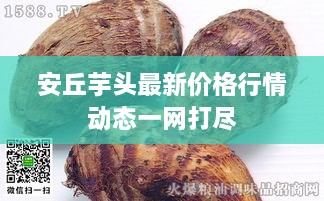 安丘芋头最新价格行情动态一网打尽