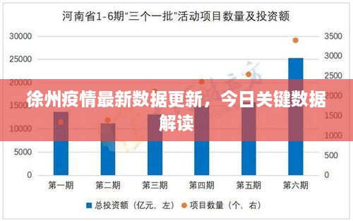 徐州疫情最新数据更新，今日关键数据解读