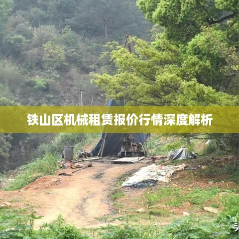 铁山区机械租赁报价行情深度解析