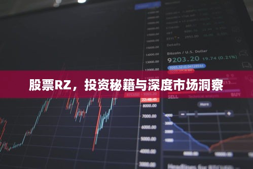 股票RZ，投资秘籍与深度市场洞察