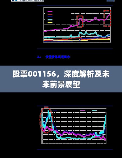 股票001156，深度解析及未来前景展望