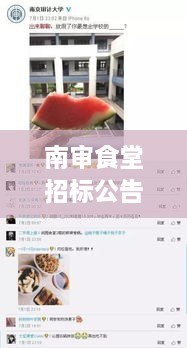 南审食堂招标公告更新，最新动态抢先看