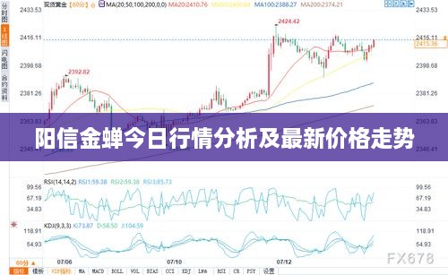 阳信金蝉今日行情分析及最新价格走势