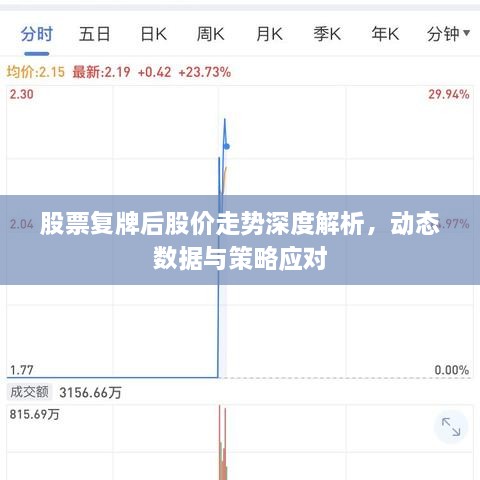 股票复牌后股价走势深度解析，动态数据与策略应对