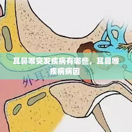 耳鼻喉突发疾病有哪些，耳鼻喉疾病病因 