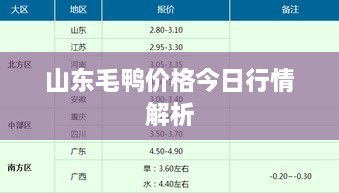 山东毛鸭价格今日行情解析