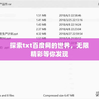 探索txt百度网的世界，无限精彩等你发现