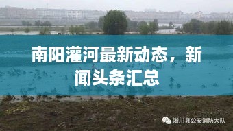 南阳灌河最新动态，新闻头条汇总