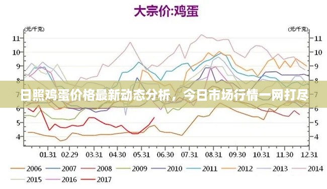 日照鸡蛋价格最新动态分析，今日市场行情一网打尽