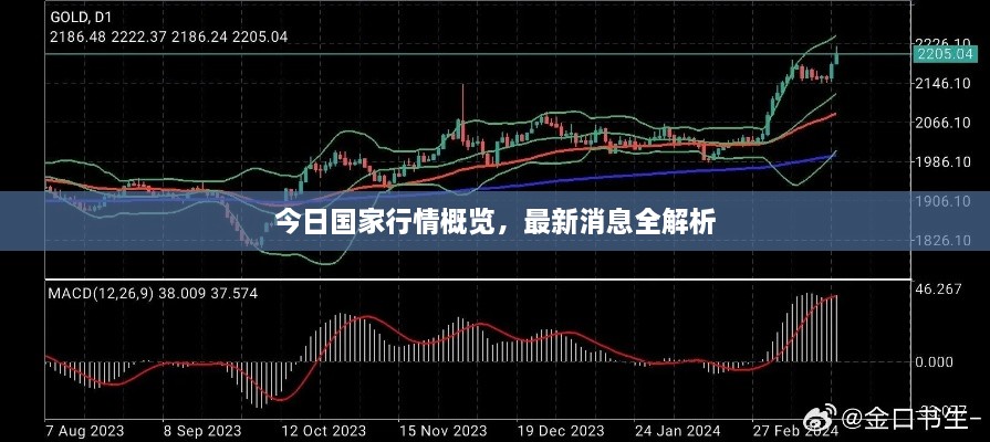 今日国家行情概览，最新消息全解析