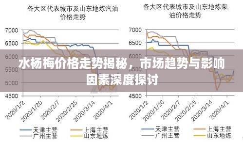 水杨梅价格走势揭秘，市场趋势与影响因素深度探讨