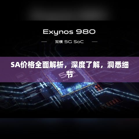 SA价格全面解析，深度了解，洞悉细节