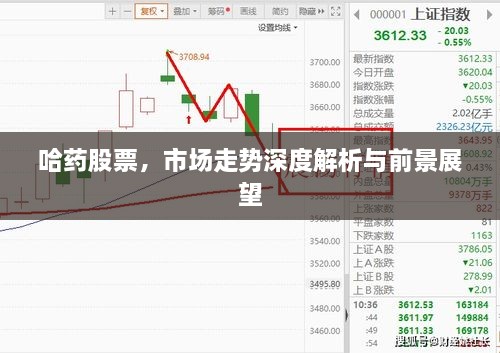 哈药股票，市场走势深度解析与前景展望