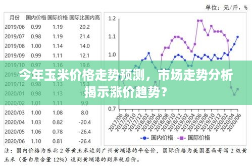 今年玉米价格走势预测，市场走势分析揭示涨价趋势？