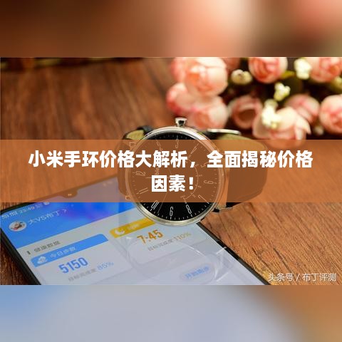 小米手环价格大解析，全面揭秘价格因素！