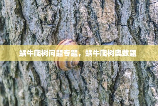 蜗牛爬树问题专题，蜗牛爬树奥数题 