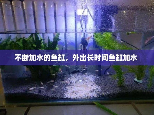 不断加水的鱼缸，外出长时间鱼缸加水 