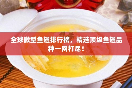 全球微型鱼翅排行榜，精选顶级鱼翅品种一网打尽！