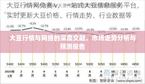 大豆行情与网络的深度交融，市场走势分析与预测报告