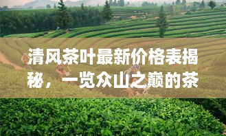 清风茶叶最新价格表揭秘，一览众山之巅的茶叶魅力与香气