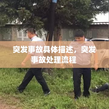 突发事故具体描述，突发事故处理流程 