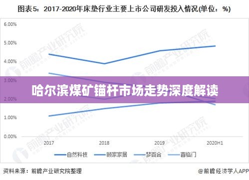 哈尔滨煤矿锚杆市场走势深度解读