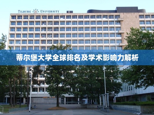 蒂尔堡大学全球排名及学术影响力解析