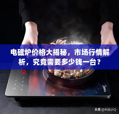 电磁炉价格大揭秘，市场行情解析，究竟需要多少钱一台？