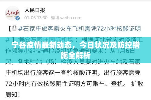 宁谷疫情最新动态，今日状况及防控措施全解析