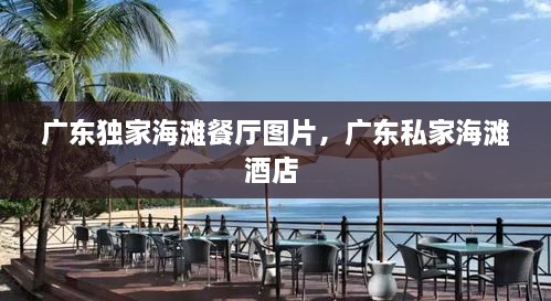 广东独家海滩餐厅图片，广东私家海滩酒店 