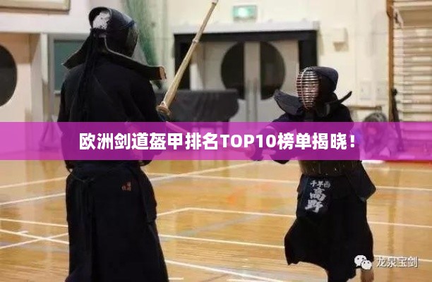 欧洲剑道盔甲排名TOP10榜单揭晓！