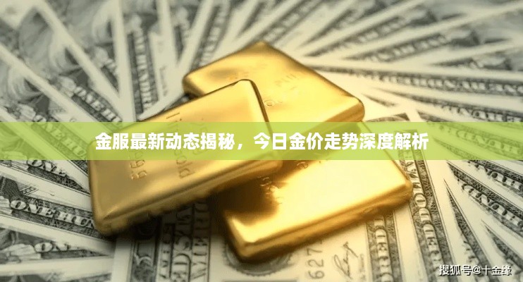 金服最新动态揭秘，今日金价走势深度解析