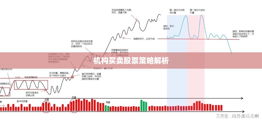 机构买卖股票策略解析