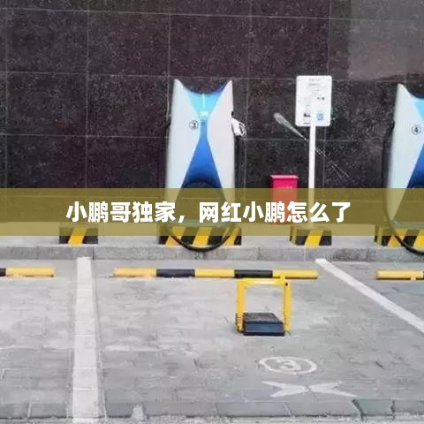 小鹏哥独家，网红小鹏怎么了 