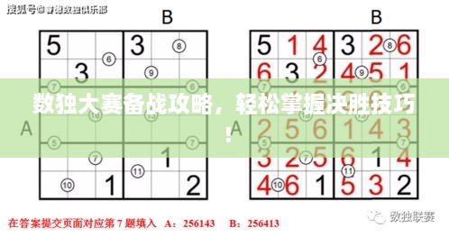 数独大赛备战攻略，轻松掌握决胜技巧！