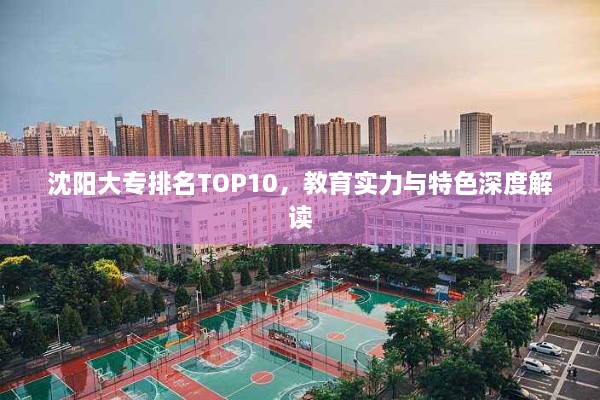 沈阳大专排名TOP10，教育实力与特色深度解读