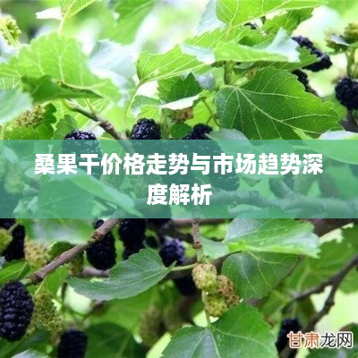 桑果干价格走势与市场趋势深度解析