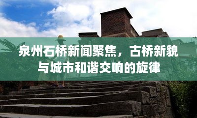 泉州石桥新闻聚焦，古桥新貌与城市和谐交响的旋律