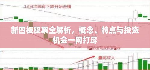 新四板股票全解析，概念、特点与投资机会一网打尽