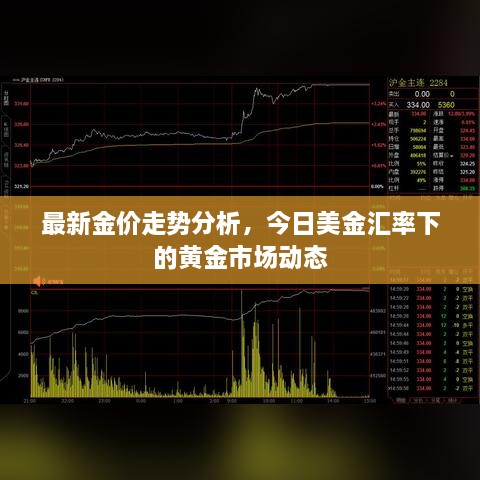 最新金价走势分析，今日美金汇率下的黄金市场动态