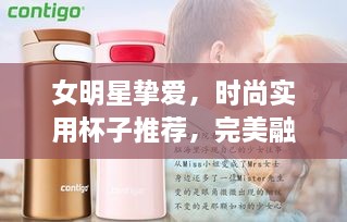 女明星挚爱，时尚实用杯子推荐，完美融合潮流与日常所需