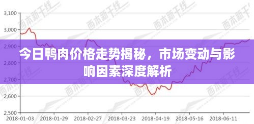 今日鸭肉价格走势揭秘，市场变动与影响因素深度解析