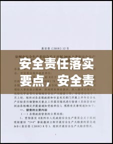 安全责任落实要点，安全责任落实情况主要检查哪些内容 