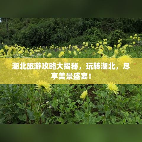 湖北旅游攻略大揭秘，玩转湖北，尽享美景盛宴！