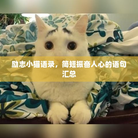 励志小猫语录，简短振奋人心的语句汇总