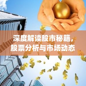 深度解读股市秘籍，股票分析与市场动态解读PDF指南